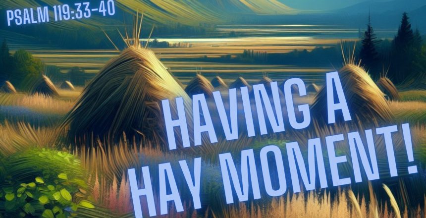 Having A HAY! Moment - 1